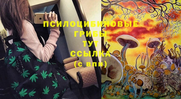гашик Абаза
