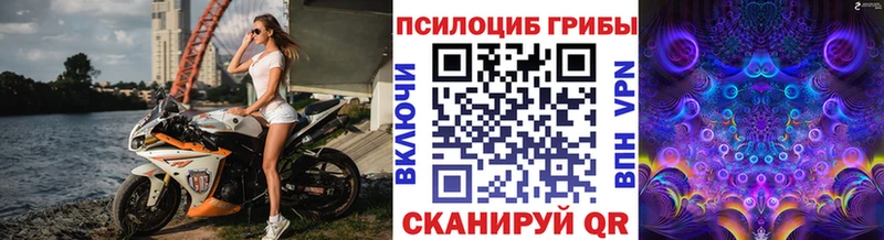 Галлюциногенные грибы MAGIC MUSHROOMS  это какой сайт  Камень-на-Оби  купить наркотик 